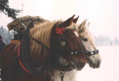 Kremserfahrt